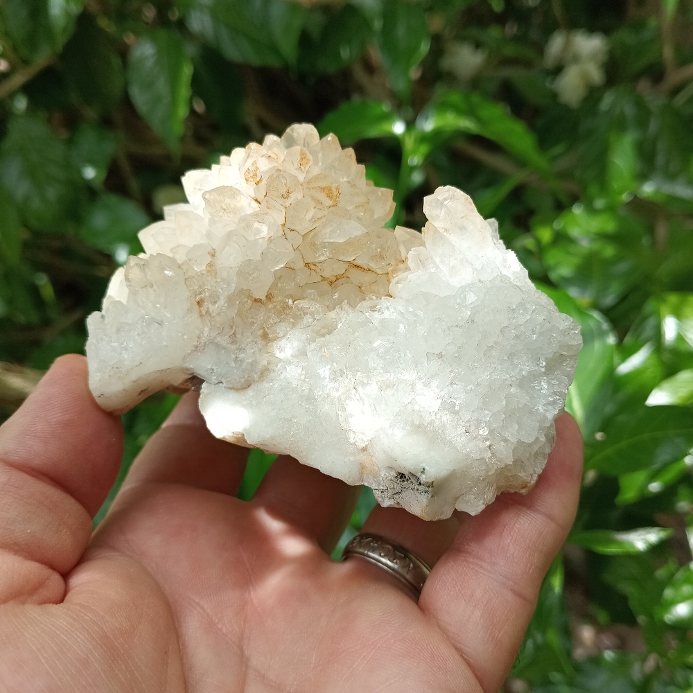 Clear Quartz Crystal Cluster